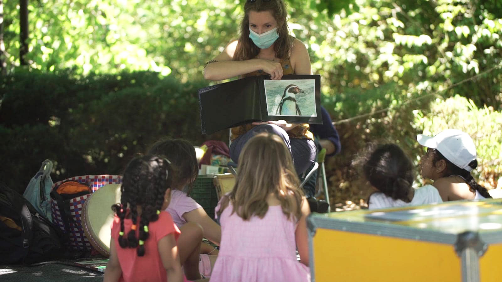 bibliotheques sans frontieres in action