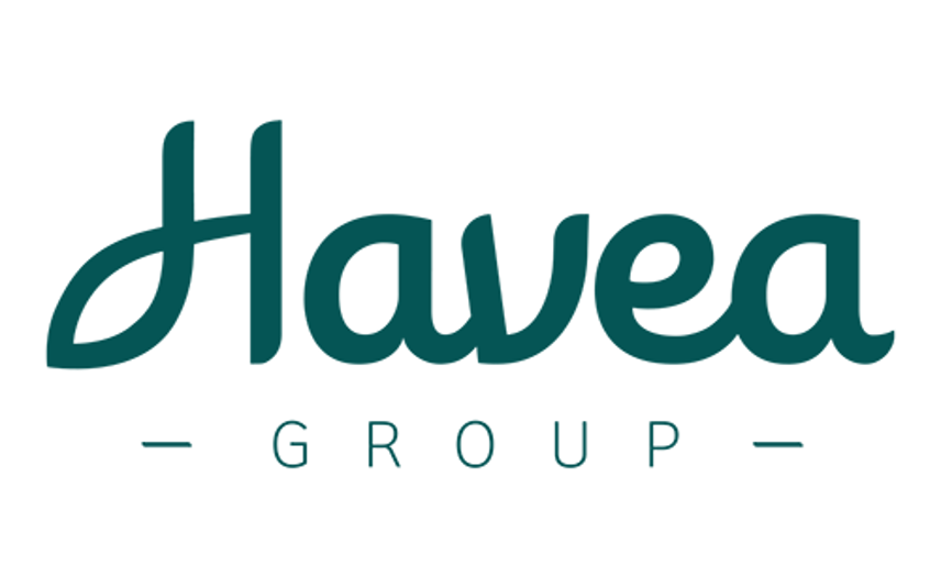havea-group-500x367.png