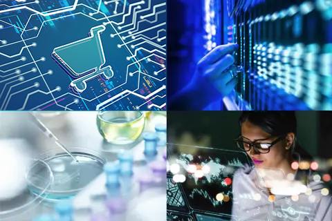 Our Sectors