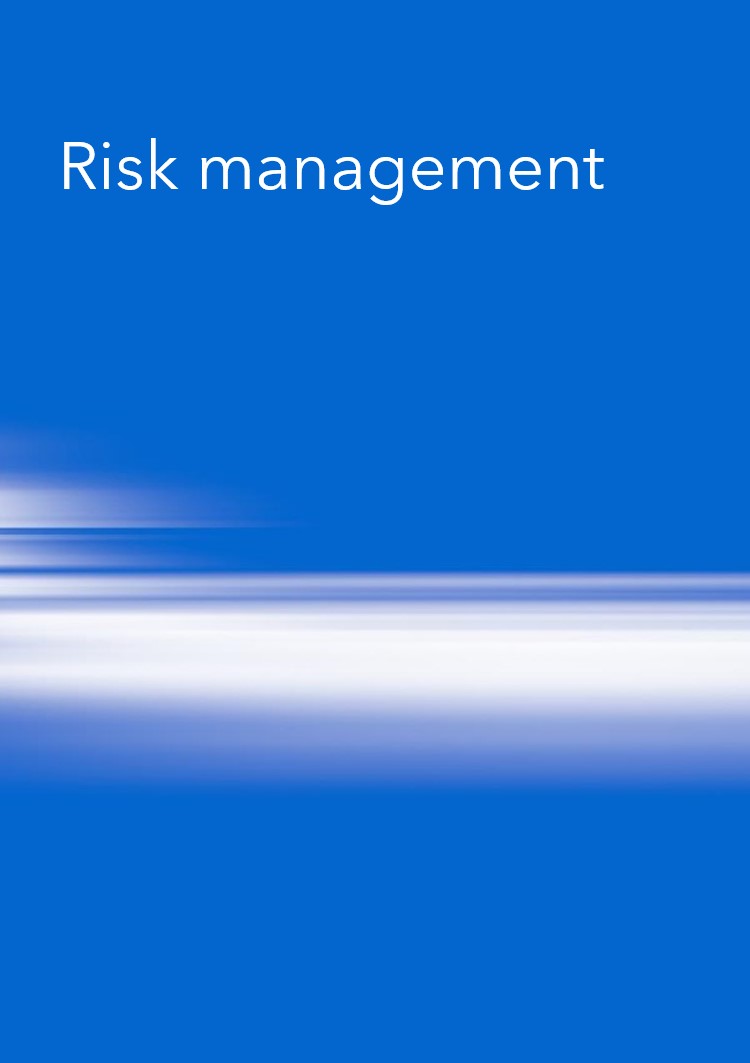 Risk Management Link